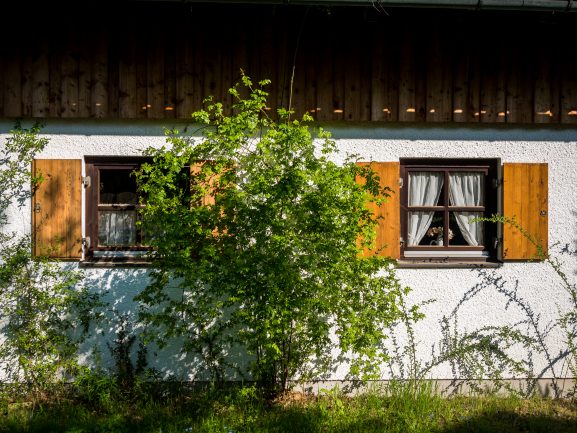 Seitenansicht des Hauses mit Holzläden hinter einem blühenden Strauch
