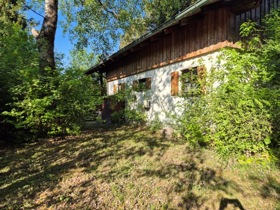Längsseite des Ferienhauses mit Wiese und Bäumen
